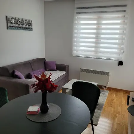 Apartment Silver&spa *