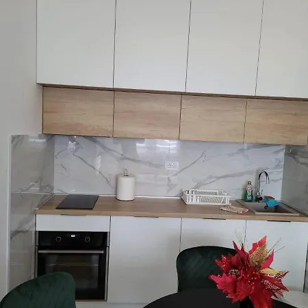 Silver&spa Apartment Zlatibor